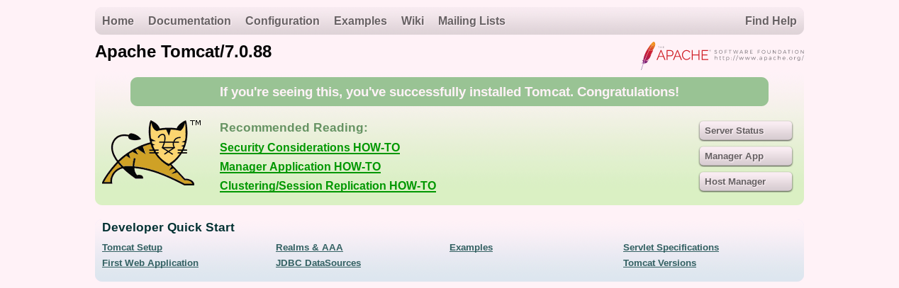 Tomcat Homepage