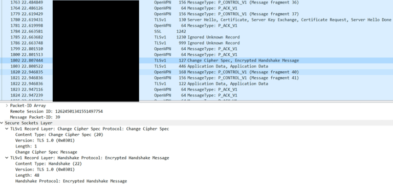 Capture of OpenVPN Connecting